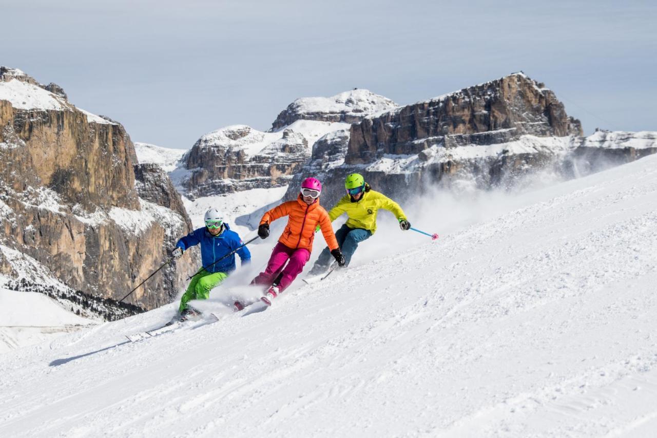 Hotel Ladinia Dolomites View Поцца-ди-Фасса Экстерьер фото